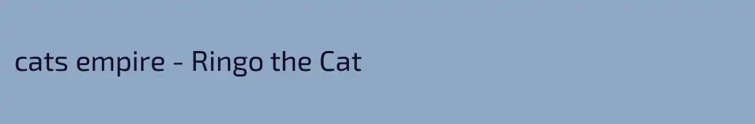 cats empire - Ringo the Cat